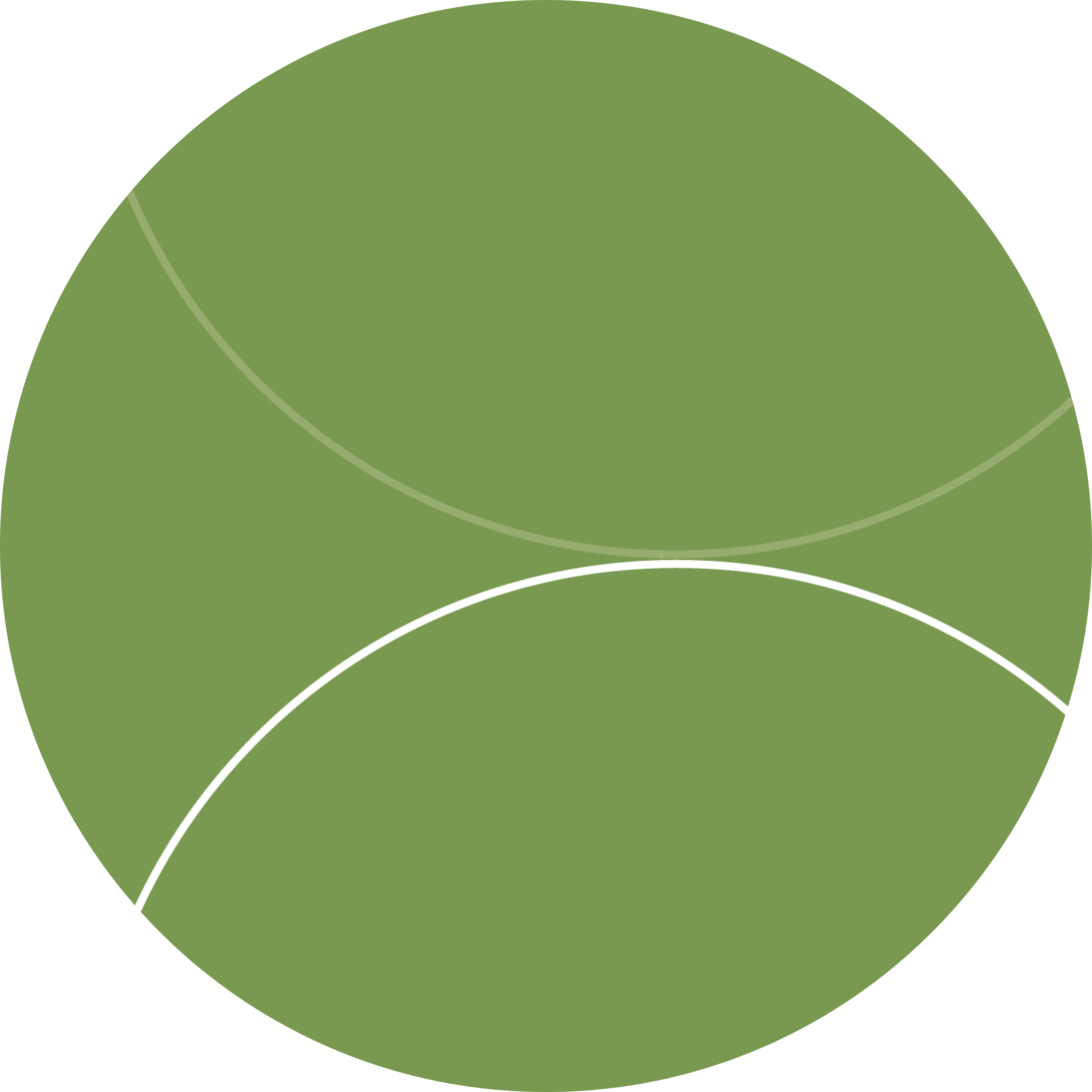 PROFESSIONAL SERVICES